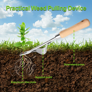 Vertak vườn weeder <span class=keywords><strong>taproot</strong></span> tay tay weeder thép không gỉ Weed Remover với ashtree gỗ xử lý - Product Image 5