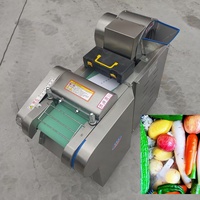 Commerciële multifunctionele groente- en fruitsnijmachine, automatische roestvrijstalen groentesnijder, -dicer en -hakselaar