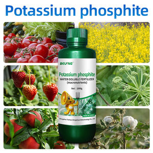 Phosphite de <span class=keywords><strong>potassium</strong></span>, <span class=keywords><strong>engrais</strong></span> hydrosoluble <span class=keywords><strong>riche</strong></span> <span class=keywords><strong>en</strong></span> <span class=keywords><strong>phosphore</strong></span> <span class=keywords><strong>et</strong></span> <span class=keywords><strong>en</strong></span> <span class=keywords><strong>potassium</strong></span>, macronutriments essentiels - Product Image 1
