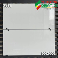 Carreaux Muraux Brillants Salle de Bain Cuisine 300x600, Carreaux Céramiques Gris Murs de Salle de Bain, Carreaux Muraux Intérieurs Blanc Pur
