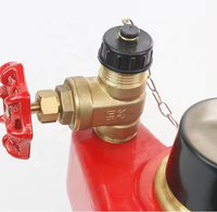 Équipement de lutte contre l'incendie : Vanne d'entrée flexible à 2 voies de 100 mm, rouge, pour conduite sèche, en acier au carbone