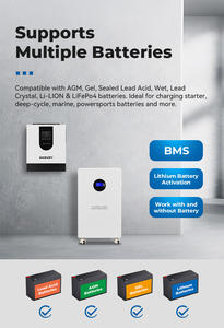 Onduleur solaire <span class=keywords><strong>hybride</strong></span> 12KW 48V à onde sinusoïdale pure MPPT 100V monophasé AC, solution énergétique domestique avec 10% de réduction, offre spéciale en Ukraine - Product Image 5