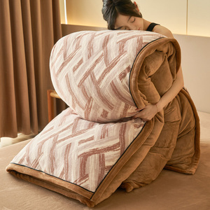 Bộ chăn ga gối đệm (vỏ chăn + mền bên trong) Bộ chăn ga gối đệm sang trọng dày 2 cái/bộ có thể giặt được - Product Image 1