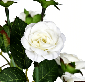 Bouquet de roses artificielles blanches en tissu de qualité supérieure, modernes, parfumées, réalistes, pour mariage, décoration de la maison, événements, fêtes, cadeaux |   Durable, lavable, non - Product Image 3