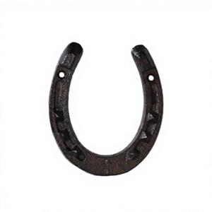 Plaque décorative en fer à cheval personnalisée en gros Plaques en fer à cheval en fonte pour porte et mur - Product Image 1