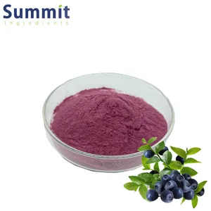 Factory Supply Natural Blueberry Extract Pure Blueberry Fruit Flavor Freeze Dried Powder Blueberry Powder