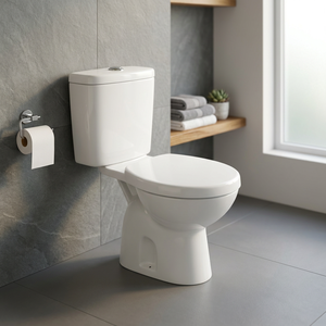 Inodoro de Dos Piezas Vistaar Luxury P Trap, Inodoro de Cerámica Desodorizante, Ecológico, de Montaje en el Suelo - Product Image 3
