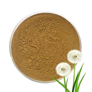 Extrait de pissenlit de haute qualité en poudre séchée par atomisation, matière première végétale pour la nutrition et la formulation de produits de bien-être à base de plantes - Product Image 1