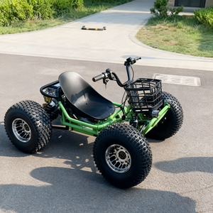 Kart Todoterreno Eléctrico para Adultos de 1000w-3000w, Buggy de Playa de Cuatro Ruedas, Envío al Aire Libre en Cajas de Madera - Product Image 6