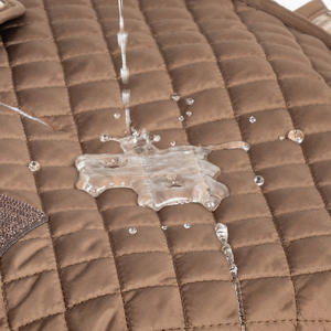 2026 OEM/ODM Ropa de Invierno Cálida y de Lujo a Prueba de Viento para Perros <span class=keywords><strong>Mini</strong></span> Dachshund y Cachorros, Diseño Personalizado, para Mascotas Tipo <span class=keywords><strong>Salchicha</strong></span>, Envío Directo - Product Image 4