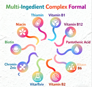 Cápsulas Multivitamínicas y Multiminerales OEM/ODM para Hombres - 20 Vitaminas, Minerales, Antioxidantes, Refuerzo Inmunológico, Gestión de Energía, Uso Diario para Adultos - Product Image 5