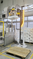 Robot de palettisation robuste à 4 axes de type colonne pour sacs tissés en PP, avec pince à fourches pour sacs en polypropylène