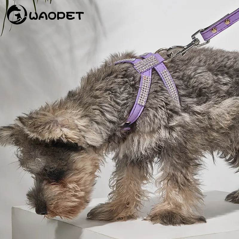 Luxe Custom Diamant Huisdier Borst Harnas En Riem Set Verstelbare Reflecterende Kleine Hond Kat Vest Harnasriem