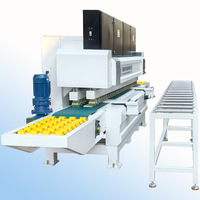Hualong Machinery 2025 nouvelle ligne de polissage de profilage de carreaux de marbre de granit automatique polisseuse rectifieuse de profil de bord de pierre