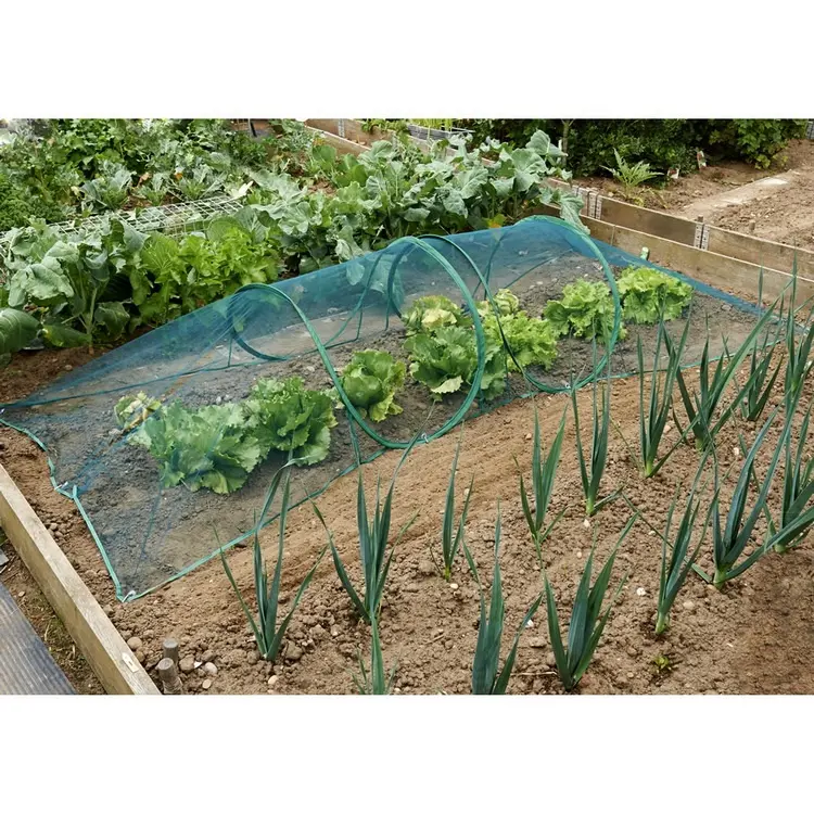 Outdoor Mini Tierra Insect Prevention Garden Portable Polypropylene Net Pop-Up Flower Vegetable Grow Tunnel Greenhouse Tent