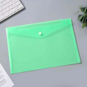 Carpeta de Plástico Transparente A4 con Botón a Presión, para Documentos Escolares, con Bolsillos Tipo Sobre, Personalizable con Logotipo, en Oferta - Product Image 1