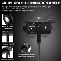 ZSYB Éclairage de remplissage photographique professionnel 300W à haute puissance pour studio de diffusion en direct, avec contrôle par application et température de couleur réglable