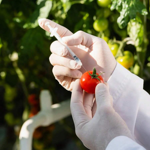 Jeringas <span class=keywords><strong>de</strong></span> <span class=keywords><strong>Insulina</strong></span> Desechables <span class=keywords><strong>de</strong></span> <span class=keywords><strong>100</strong></span> <span class=keywords><strong>Unidades</strong></span> con Aguja 31G* 8mm/4mm/6mm Veterinarias - Product Image 5