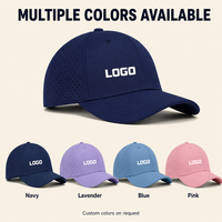 Casquette de baseball imperméable, perforée, respirante, protection solaire, légère, sportive, réglable, logo personnalisé, OEM, vente en gros, faible MOQ