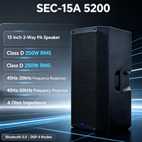 Haut-parleur de scène rechargeable SEC-15A 5200 15 pouces, classe D 250W, Bluetooth 5.0, DSP, 4 modes, alimenté par batterie
