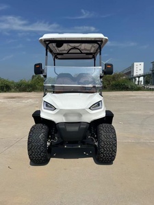 Bán Buôn Tùy Chỉnh 4-Chỗ Ngồi Có Thể Gập Lại Điện Golf <span class=keywords><strong>Buggy</strong></span> Giỏ Hàng Đường Phố Hợp Pháp Khung Nhôm Off-Road Từ Trung Quốc - Product Image 3