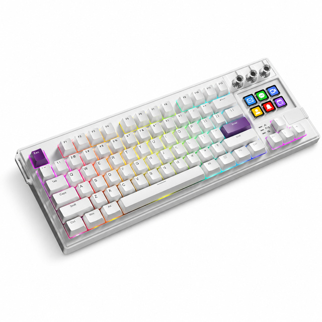 87 Keys Wired Mechanical Keyboard, RGB Backlit Ergonomic Multimedia Keys for Office Gaming Windows Mac OS