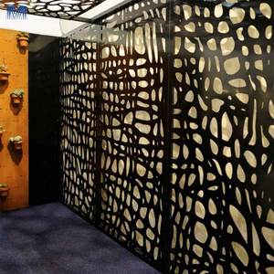 Portes en acier inoxydable, sol à plafond, jardin, cheminée, balcon, vie privée, cloisons de séparation, écrans de séparation - Product Image 2