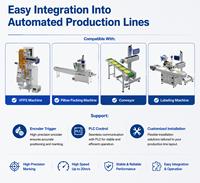 Codeur laser UV pour machines d'emballage de produits de soins personnels, codage permanent de la date, support d'intégration pour les fabricants de machines d'emballage