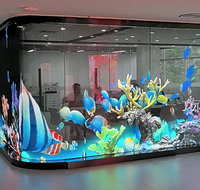 Écran holographique transparent personnalisé, affichage LED flexible 3D P3.91 P6.25 pour les vitrines des magasins de détail