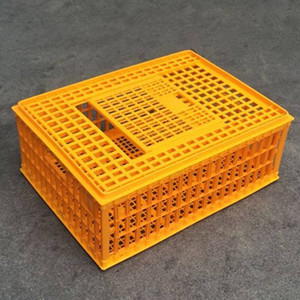 Caisses à poulets orange portables neuves et bon marché pour le transport <span class=keywords><strong>de</strong></span> volailles <span class=keywords><strong>vivantes</strong></span>, utilisation en abattoir, capacité <span class=keywords><strong>de</strong></span> 10 à 15 poulets - Product Image 6
