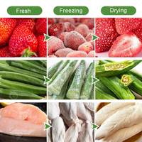 Australia Kleine Vriesdroging Mini Liofilizador Gedroogde Fruitdroger Thuis Dehydrator Droge Machine Voor Voedsel
