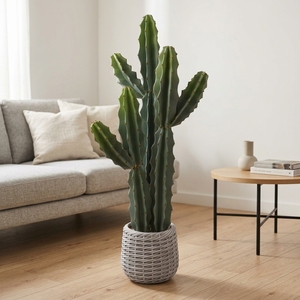 Plantes artificielles en pot de cactus résistantes aux intempéries, fourniture directe d'usine fiable, pour la <span class=keywords><strong>décoration</strong></span> intérieure et de <span class=keywords><strong>balcon</strong></span> - Product Image 1