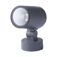 Projecteur LED en aluminium super brillant pour jardin paysage DC/AC projecteur de pointe extérieur alimenté avec indice IP65