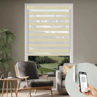 Allbright Powered by Eve Motionblinds Tende a Rullo Smart Zebra Oscuranti Senza Fili Compatibili con Matter e Thread per Finestre Domestiche