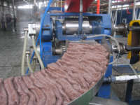 Ligne de production de fibres courtes de polyester à partir de flocons de bouteilles PET semi-automatique de marque SHUNXUAN, capacité de 20 à 120 tonnes/jour