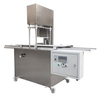 Máquina Automática de Control Numérico para Envolturas de Dumplings y Wontons, Directo de Fábrica, Capacidad de 350 kg/h, Personalizable