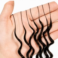 Extensions de tresses réutilisables à porter facilement, en cheveux vierges chinois doublement étirés, trame simple, 60g, bouclées, type Miracleburmese Feathers, très demandées