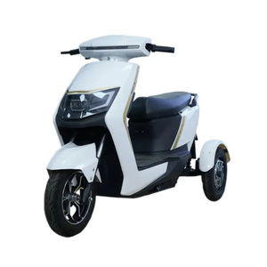 Triciclo Elettrico Inclinabile a Doppio Motore 800W*2 per Esterni, Triciclo a 3 Ruote per Salita in Collina, Vacanze, Viaggi per Anziani, Carrozzeria Aperta - Product Image 6