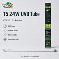 LuckyHerp T5 24W UVB5.0 Lampe UVB Spirale en Verre pour Reptiles Écologique Économie d'Énergie 22 pouces 7000-8000K 8000 heures CRI