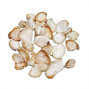 ซัพพลายเออร์ของแผงคอสิงโตสดทั้งแห้งและของสิงโตสำหรับทำเห็ดสมุนไพรจากใบชา - Product Image 1