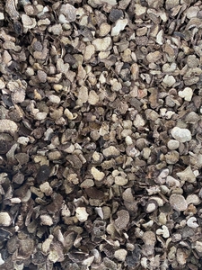 Tartufo Nero Naturale Essiccato di Nuova Raccolta per Alimenti e Tè a Prezzo all'Ingrosso - Product Image 6