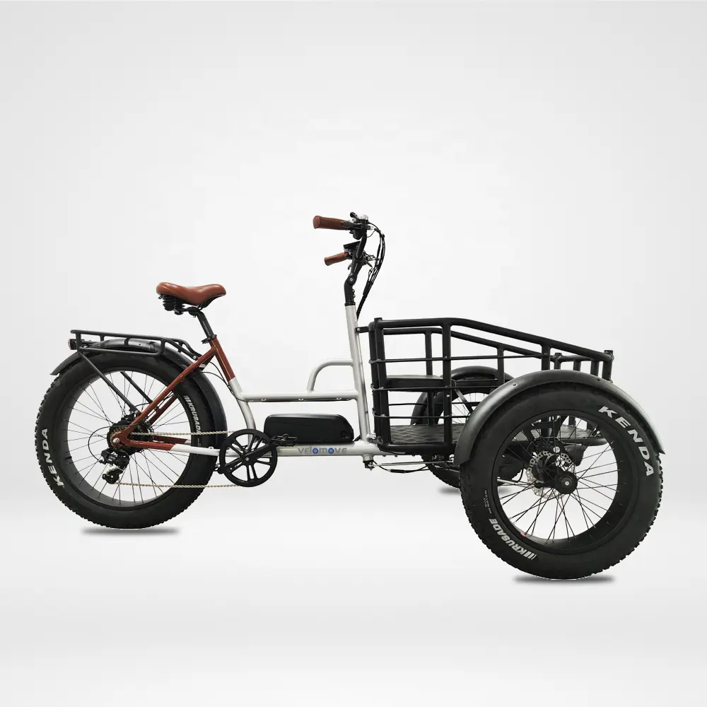 48V 500w trois roues vélo cargo tricycle avant chargement cargo électrique vélo cargo 3 roue vélo