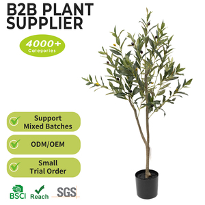 Arbres d'<span class=keywords><strong>olivier</strong></span> artificiels de qualité professionnelle, 120 cm (4 pieds), minces, en pot, avec tronc réaliste, pour décoration minimaliste d'appartement, pièce maîtresse au sol - Product Image 2