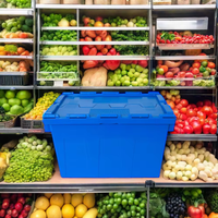 Caisses en plastique robustes avec couvercle, de qualité alimentaire, 100% neuves, en PP, pour le stockage, la logistique, le transport, empilables, pour le déménagement