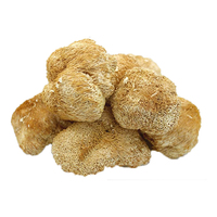 Capsules de crinière de Lion, extrait de champignon, poudre d'extrait de crinière de Lion, 665mg en stock