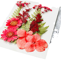 Fleurs séchées naturelles en résine pour DIY, fabrication de bijoux, scrapbooking, savons/bougies, fournitures d'artisanat
