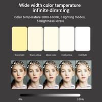 Nouvelle lumière de vidéoconférence LED Éclairage frontal et latéral pour le bureau ou l'apprentissage pour téléphone ou appareil photo Mini source d'alimentation