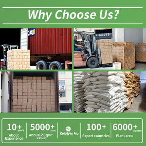 Macarrão Chinês Saudável de Baixo IG para Dieta, Macarrão de Trigo Sarraceno e Macarrão Seco de Konjac, OEM ODM por Atacado - Product Image 5