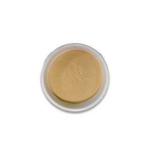 Ácido Gamma Poliglutámico (PGA) en Polvo - Fertilizante Orgánico para Huertos de Olivas, Café y Cítricos, 30% de Contenido, Proveedor de Europa y Sudamérica - Product Image 1