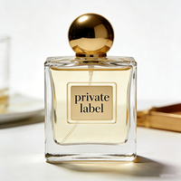 Eau de parfum liquide longue durée aux notes populaires Nouveau design Parfum de luxe unisexe pour hommes et femmes